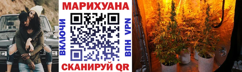 Бошки Шишки LSD WEED  Купить закладки  Краснообск 